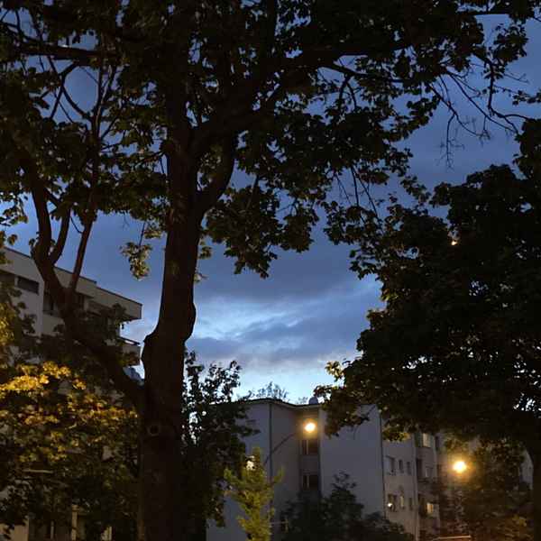 Charlottenburg Night Sky