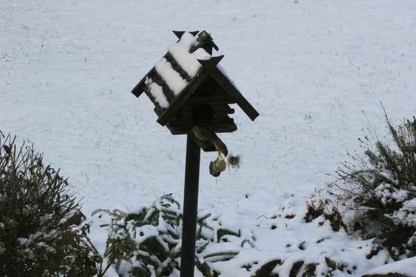 Am Futterhaus