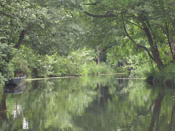 Wasserlandscaft der Spree bei Lübben