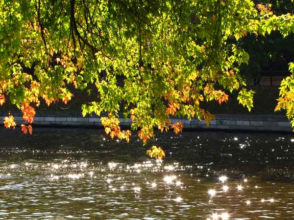 Spree-Ufer im Gegenlicht