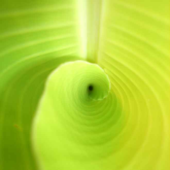 Was ist hier in Bewegung?-gelöst