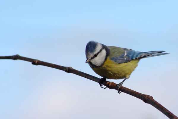 da unten gibts was Gutes