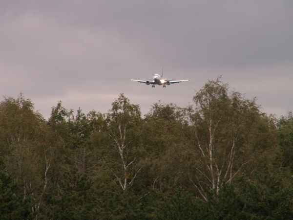 Flugzeug im Anflug auf Frankfurt