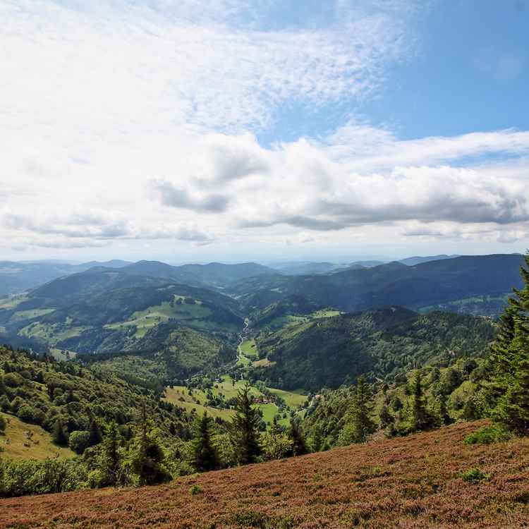 Schwarzwald - Talblick vom Belchen