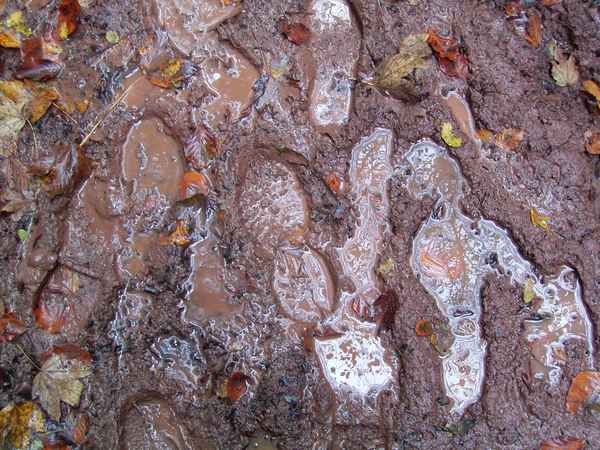 Spuren im Matsch