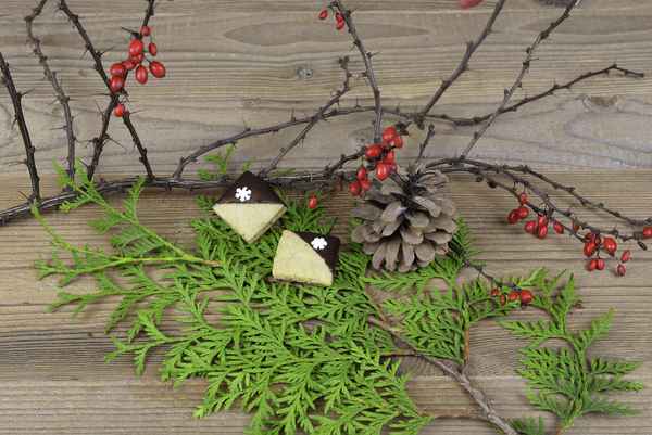 Walnussquadrate mit Praliné-Füllung