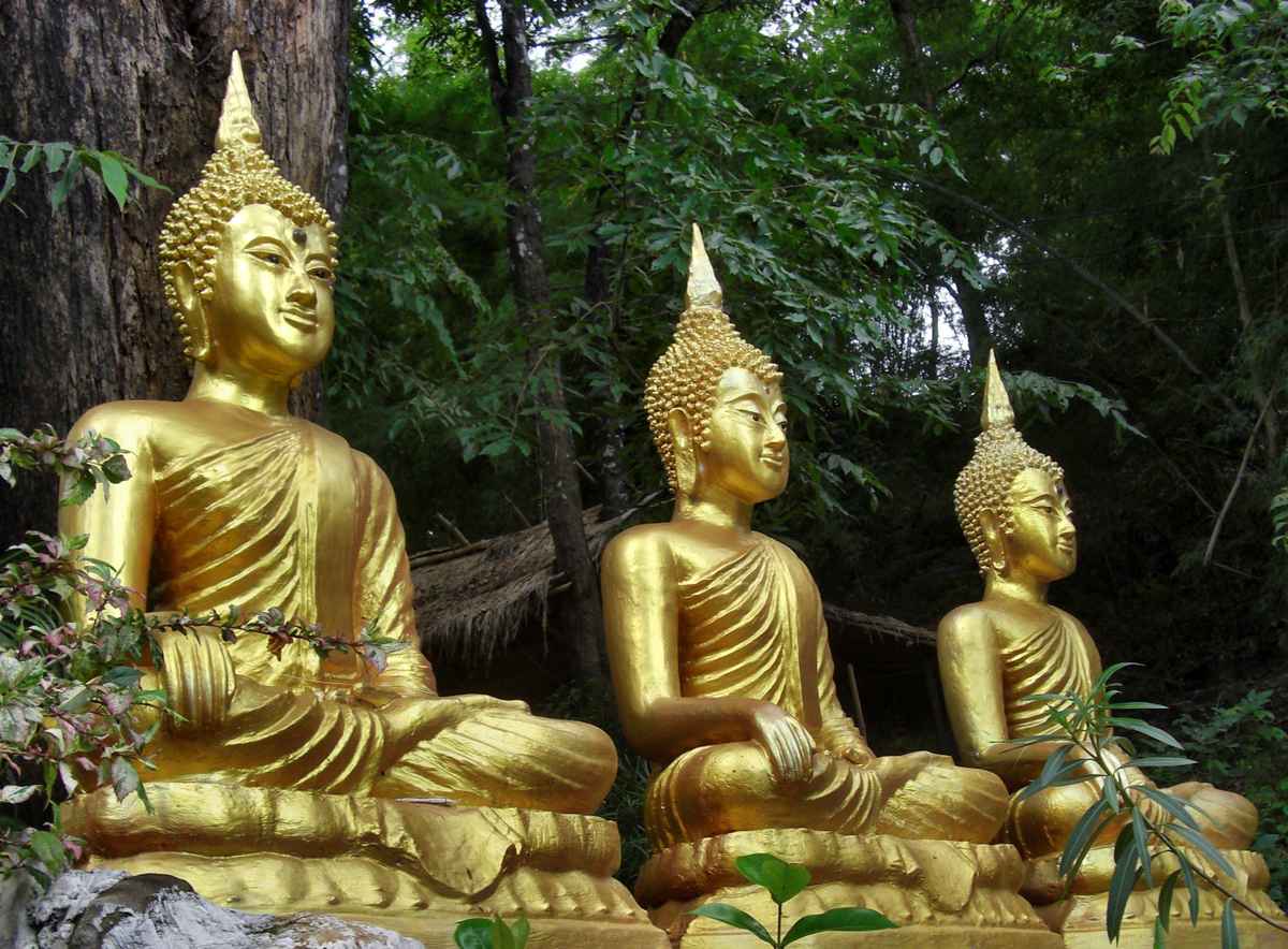 Buddhastatuen im Dschungel