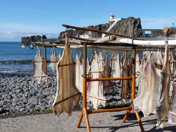 Trockenfisch 1