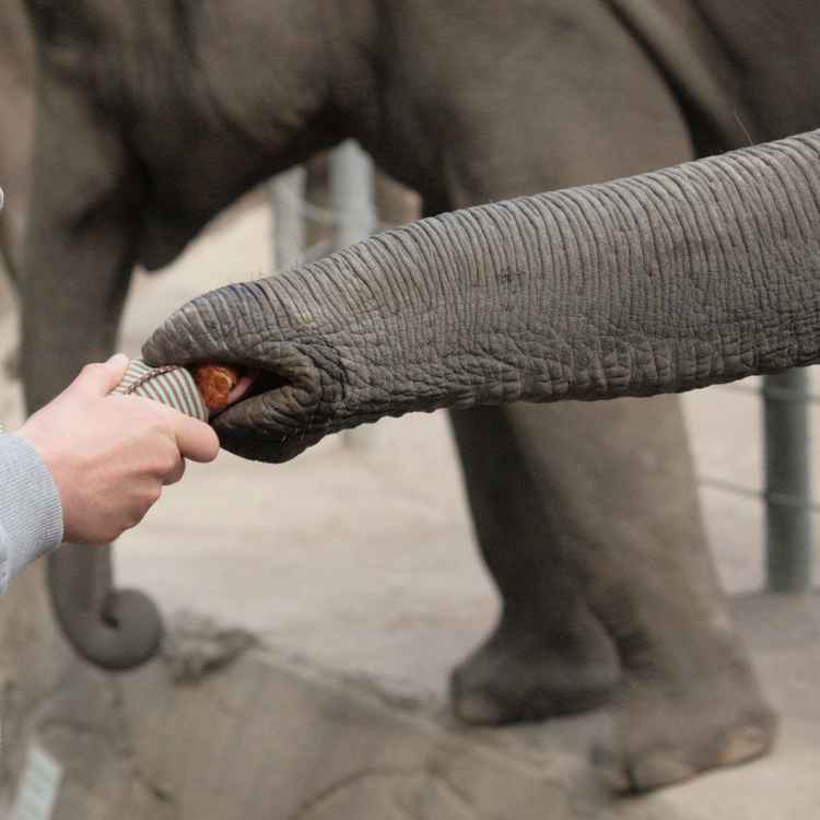 Weg ist die Kinderhand