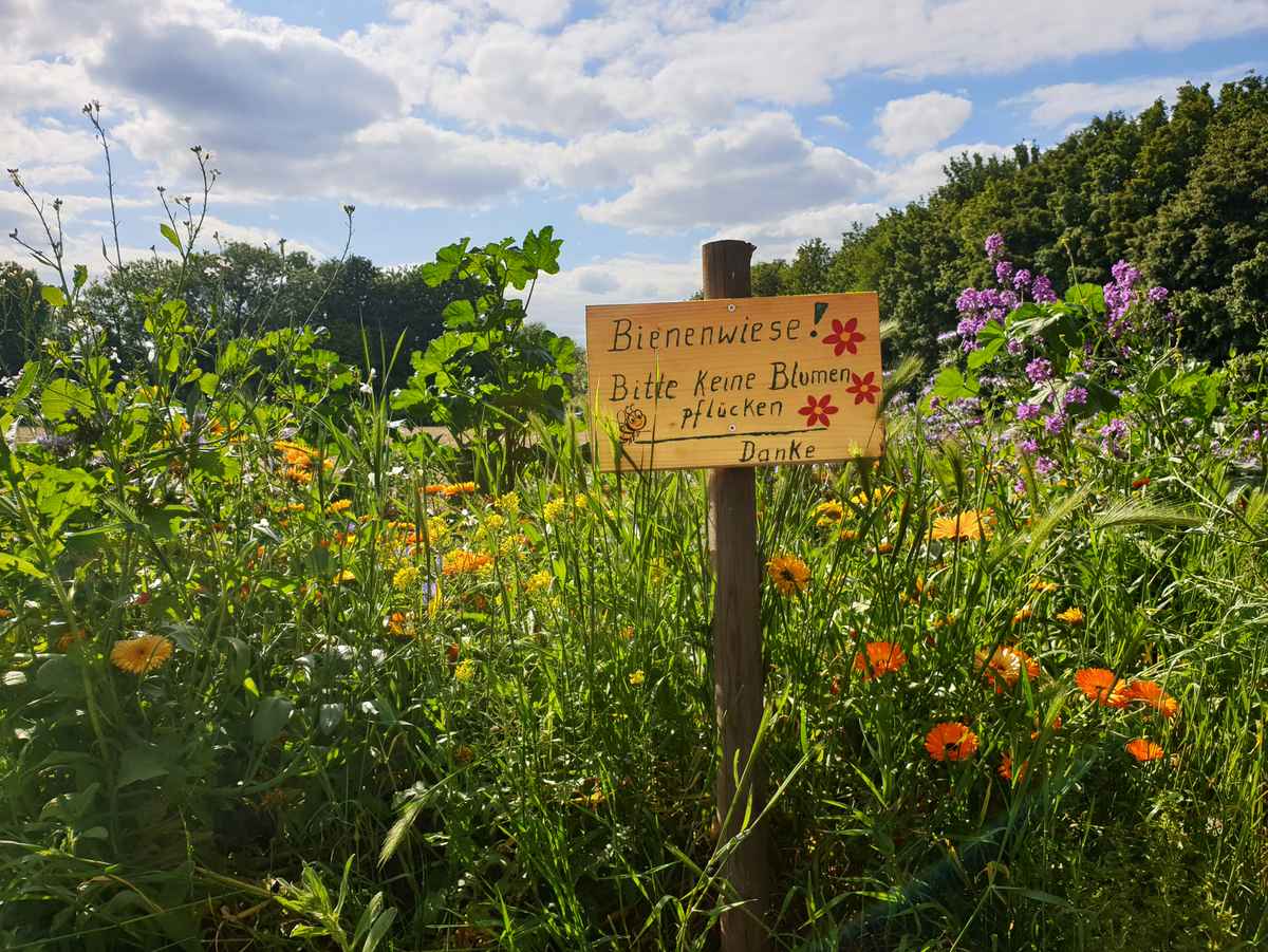 Bitte keine Blumen pflücken
