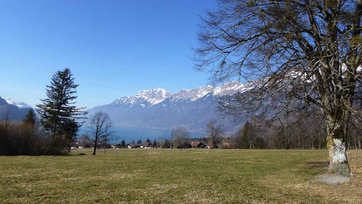 Bald ist wieder Frühling