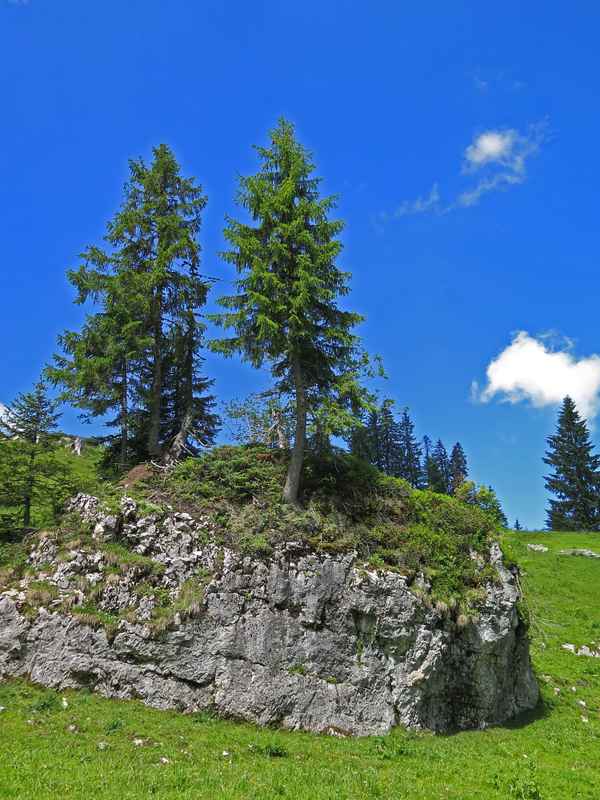 Ein sicherer Standort