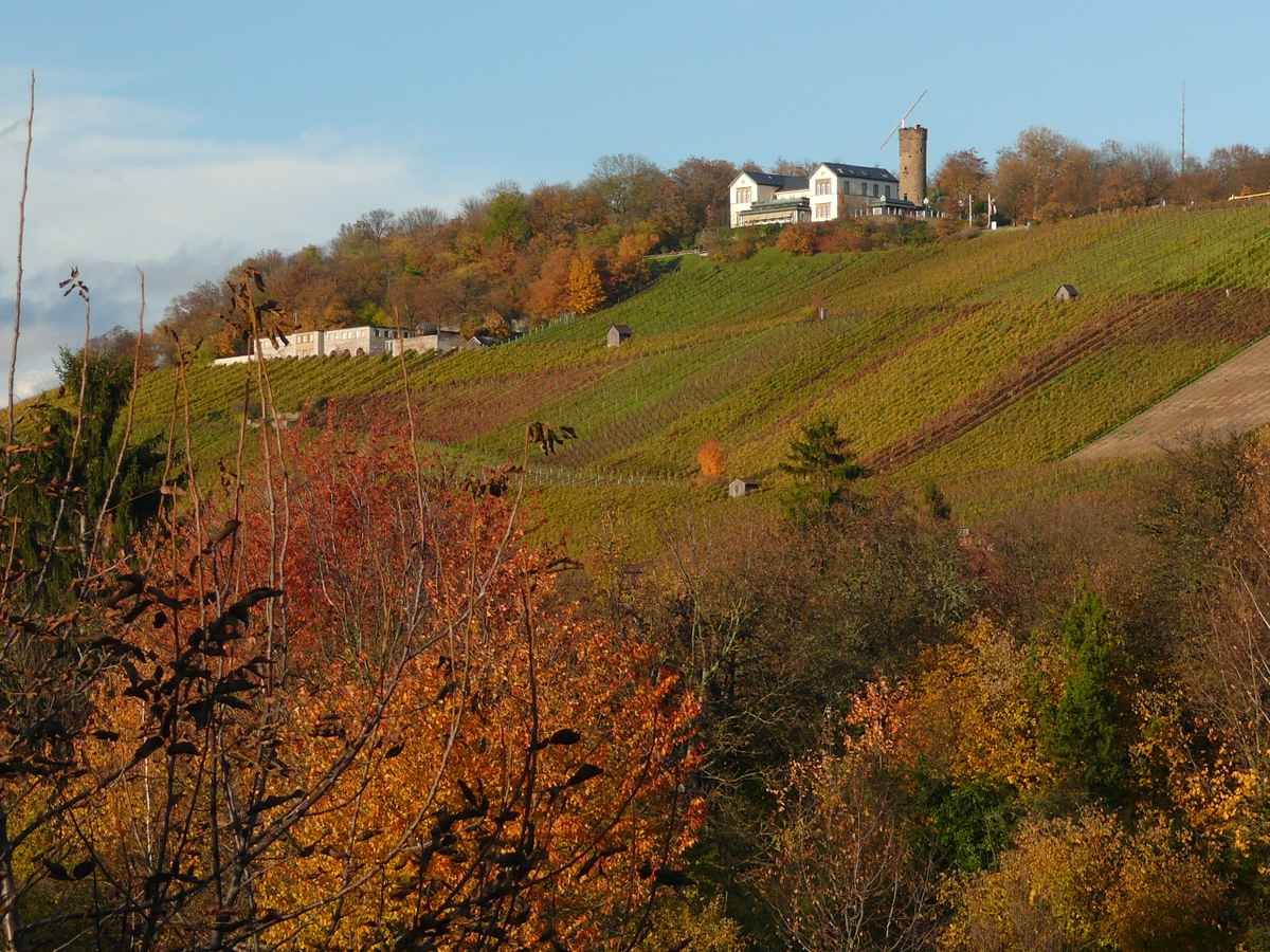 Der Heilbronner Wartberg