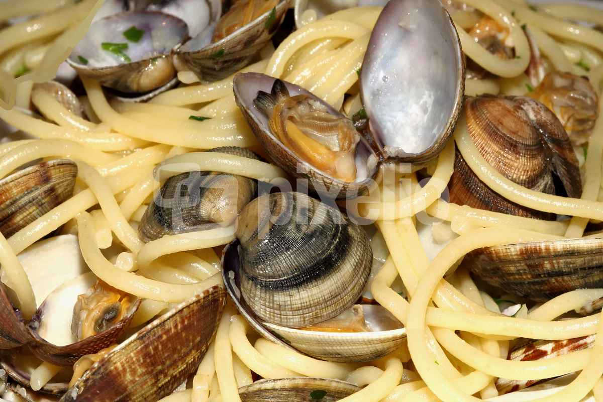 Schalentiere 9