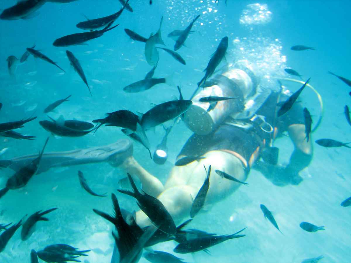 Fischi-Fischi-Fischi