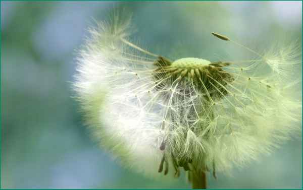 Fluchtversuch