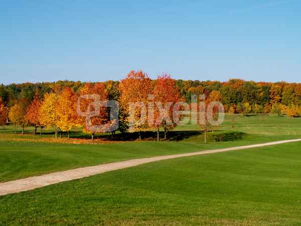 Herbstbunt