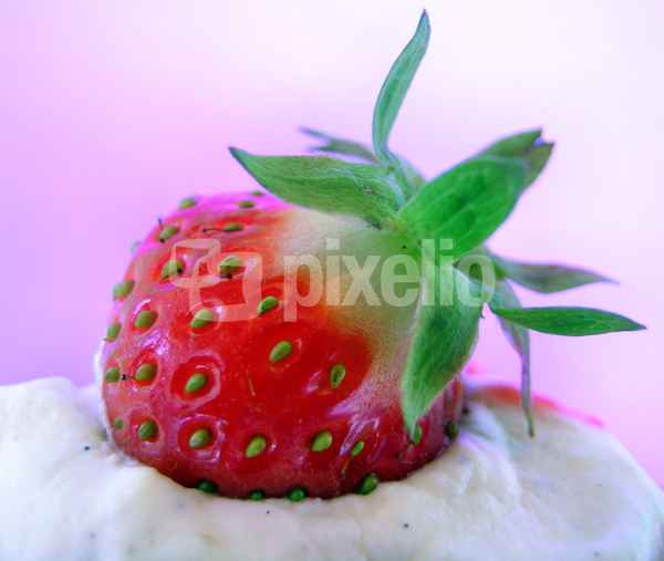 Erdbeere . . .