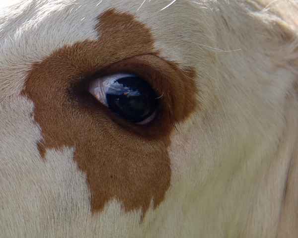 der augenblick