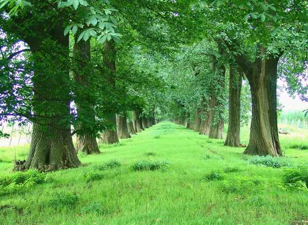 Auch Strassen können schön sein ................! ! !   Bild I