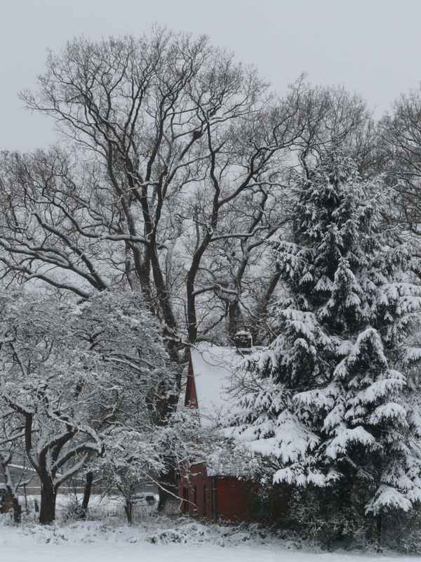 Eine winterliche Oase 02