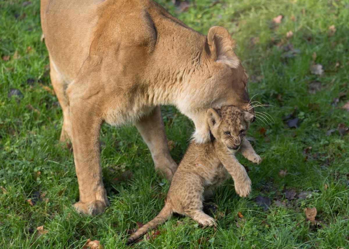 Du kommst jetzt mit!