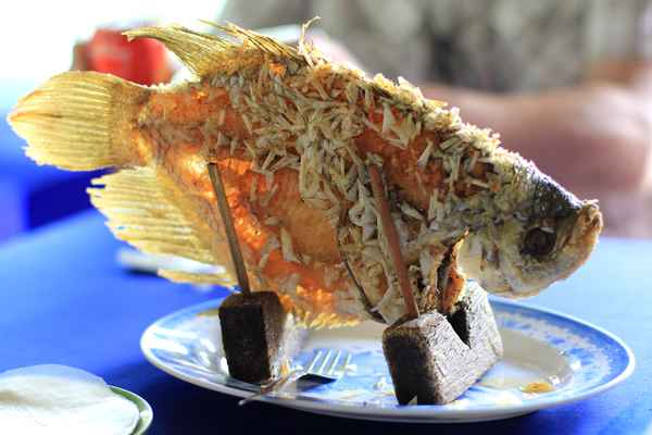 Gebratener  Fisch
