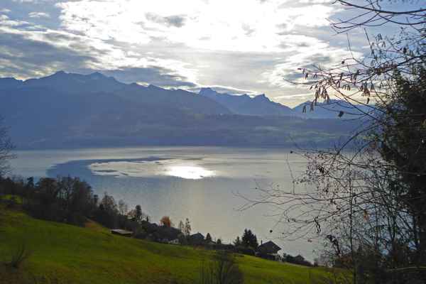 Thunersee im Gegenlicht