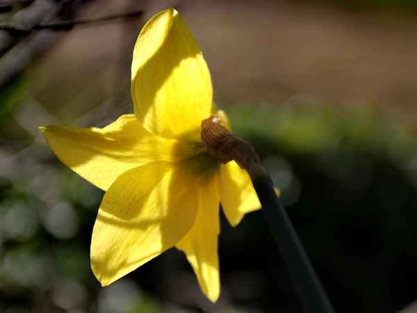 licht und schattenspiele  5