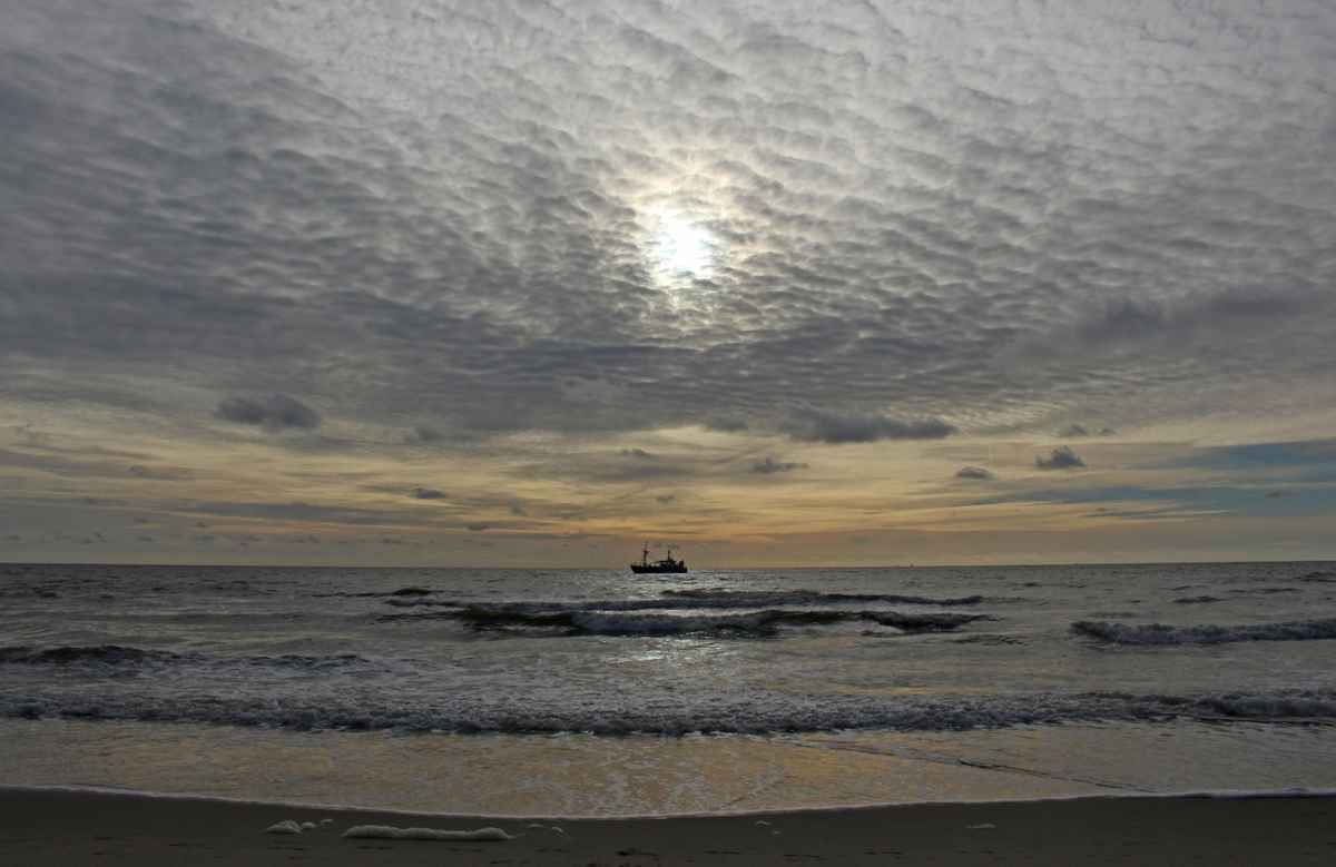 Schäfchen ohne Ende