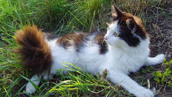 Wer ist hier schöner?