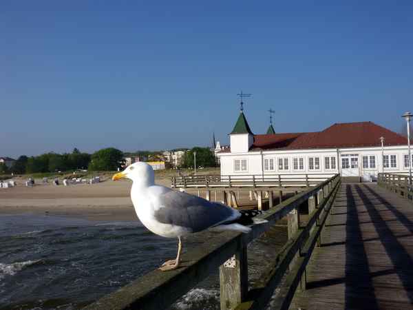 Ich bin die schönste....