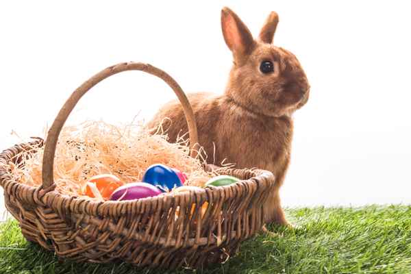 Osterhase