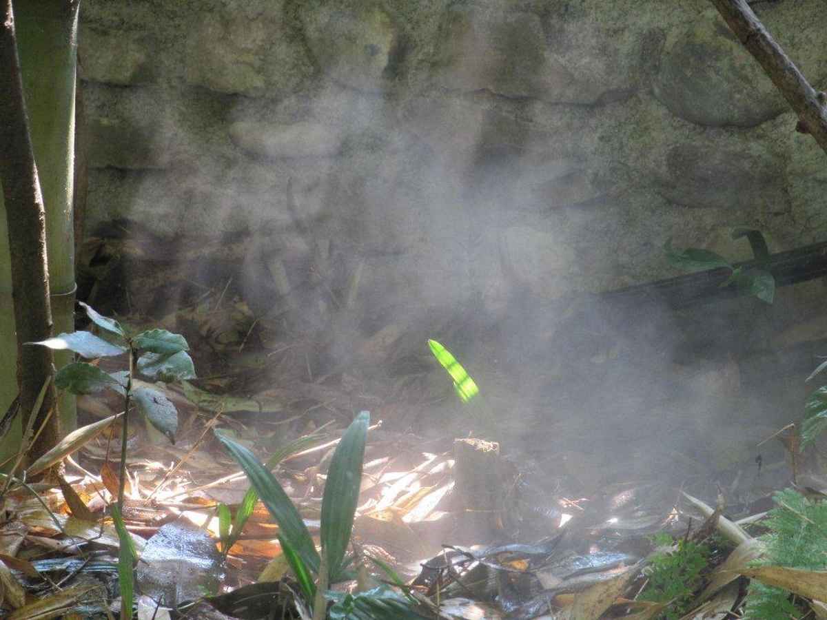 Wo Schatten ist, ist auch Licht