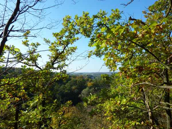  Herbst_1