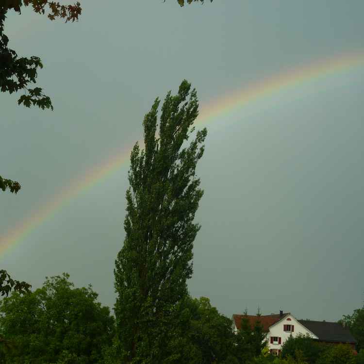 Regenbogen