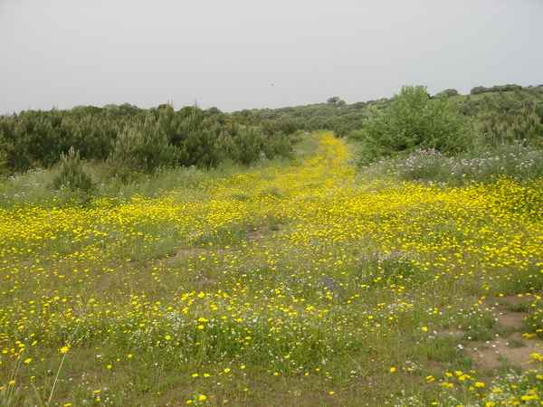 SARDINIEN  NATUR