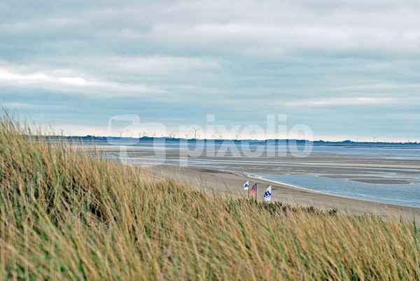 Surfstrand mit Prielen & Windrädern an der Küste