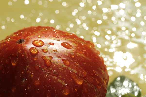 sonnig, zeitweise regen 2