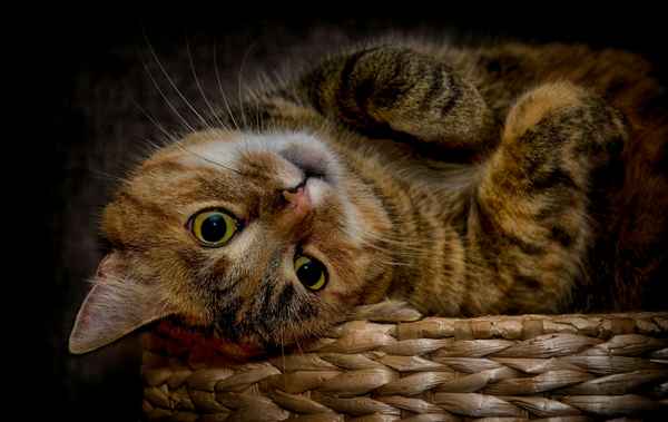 zuhause ist`s am schönsten