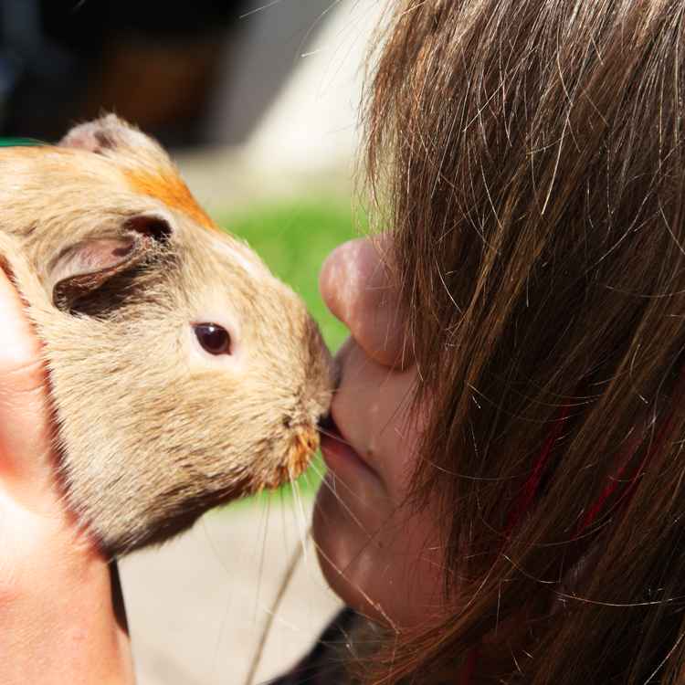 Kind mit Meerschwein