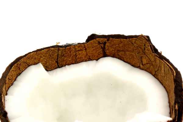 Kokosnuß 8