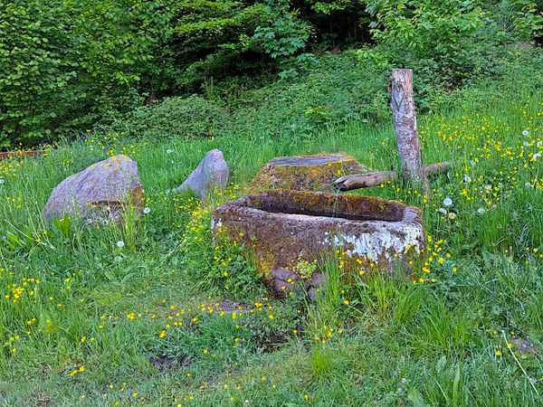 Tiertr&auml;nke am Enztalradweg bei H&ouml;fen