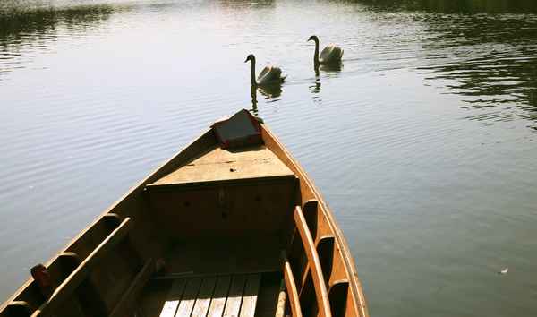 Wasser ist ihr Element