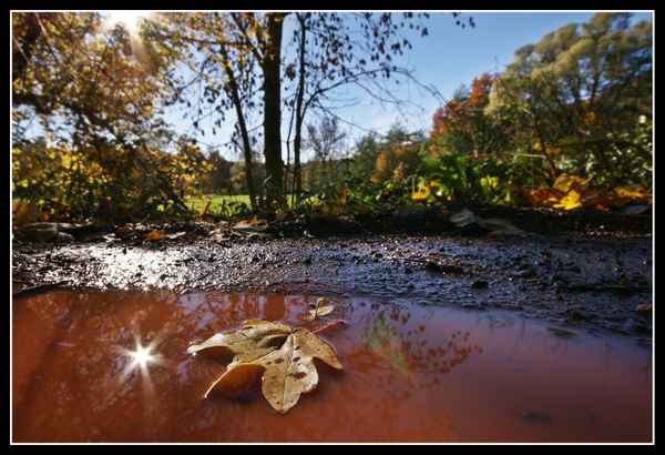 Herbstzeit