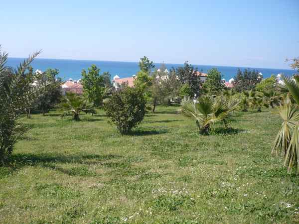 Landschaft Natur  Anlage