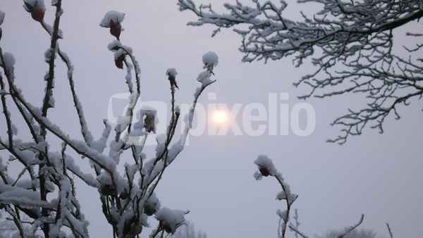 Winter 5