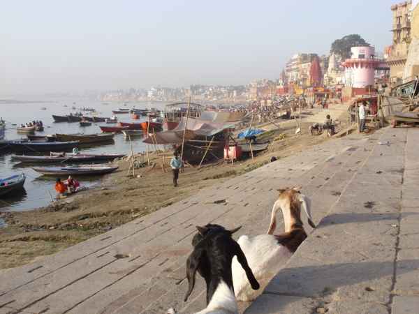 Am Ganges in Varanasi
