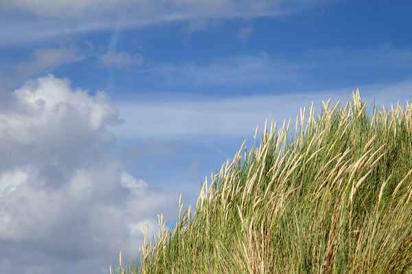 Himmel über Borkum - Endlich Sommer - 67