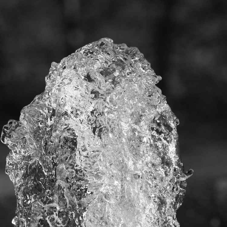Wasserb/w
